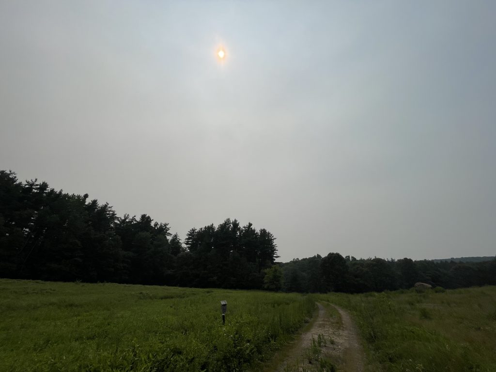 haze covering the sun above an open field