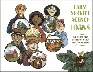 Farm service agency loans guide