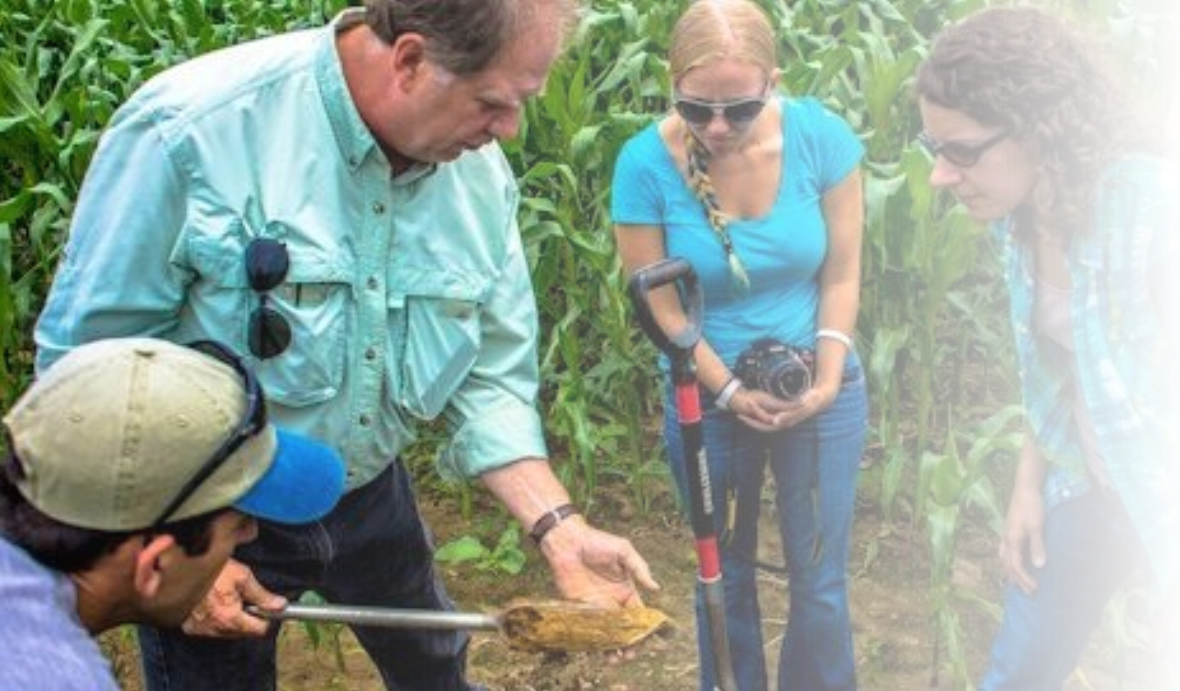 4 people Looking over a sample of soil in a corn field