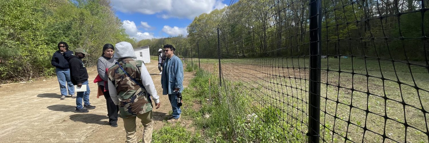 a group of people on the other side of a fence next to a field