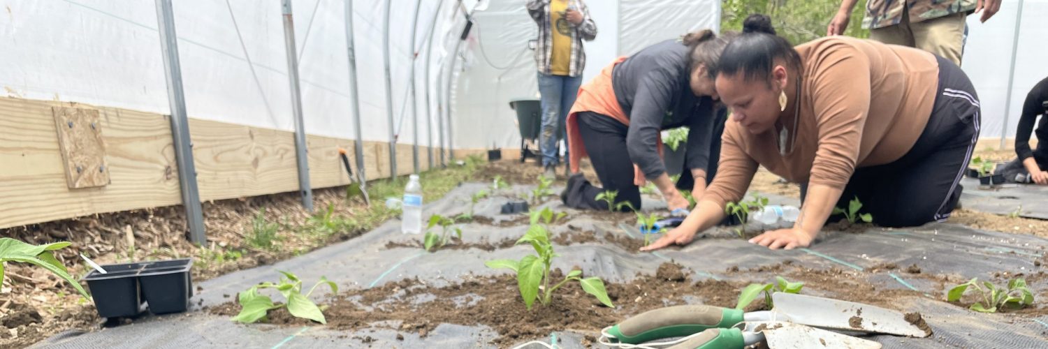 a woman leaning down on some landscape fabric planting