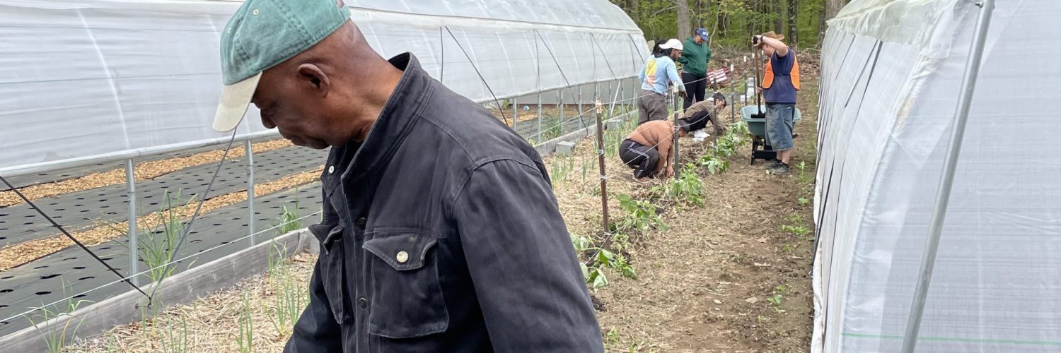 a man watering plants in between 2 high tunnels