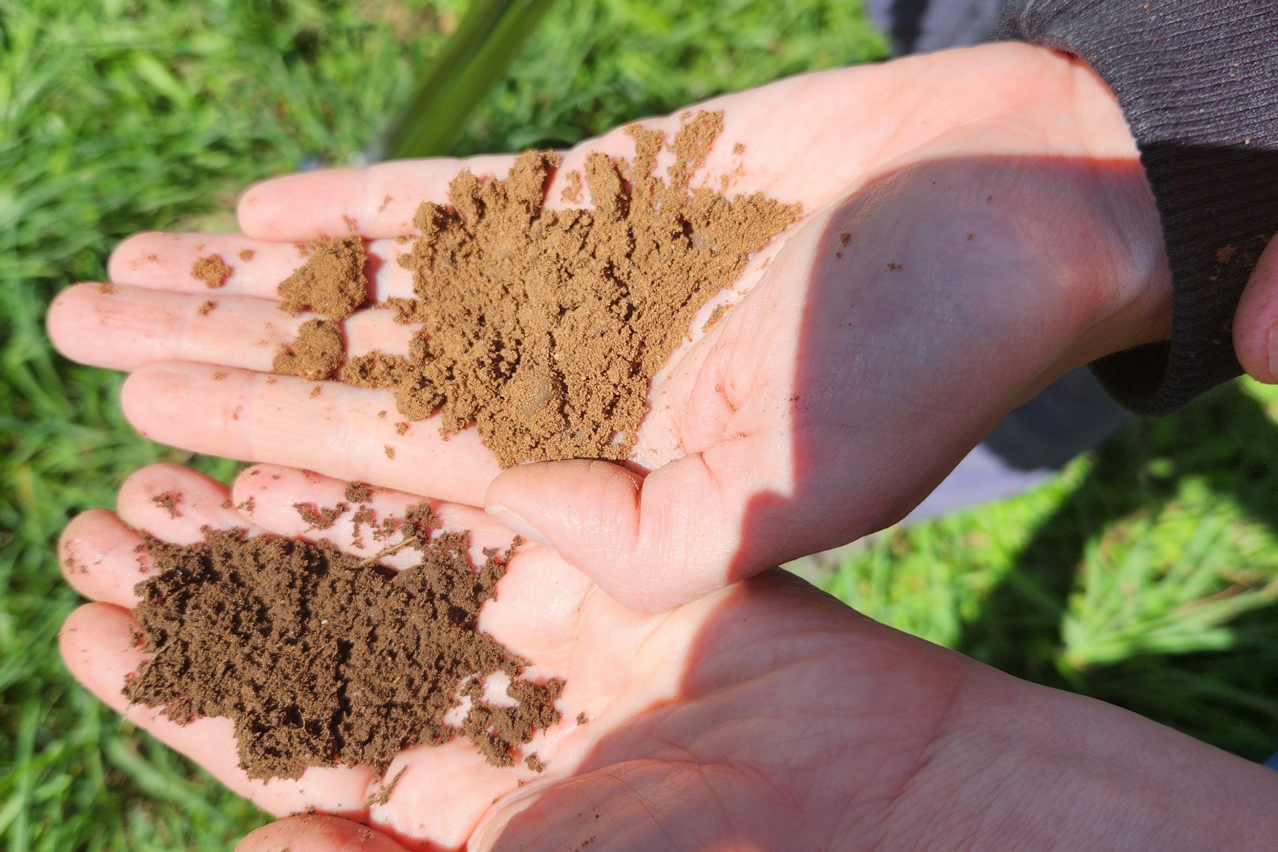 two hands holding soil comparing the two
