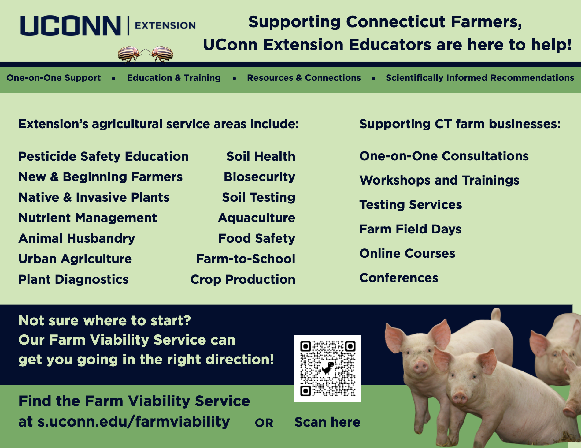 Farm Viability Service informational flyer